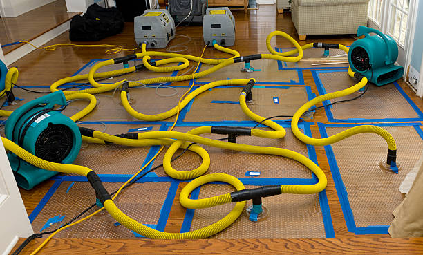 Professional Water Damage Restoration technician working in Casco, ME